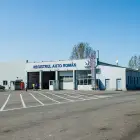 Foto Autoturism căutat internaţional, identificat în Olt, când un bărbat s-a prezentat la RAR