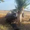 Foto Un tânăr de 18 ani a murit după ce a intrat cu maşina într-un pom, la Deveselu