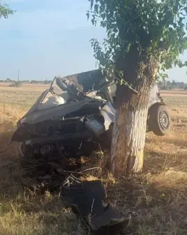 Foto Un tânăr de 18 ani a murit după ce a intrat cu maşina într-un pom, la Deveselu