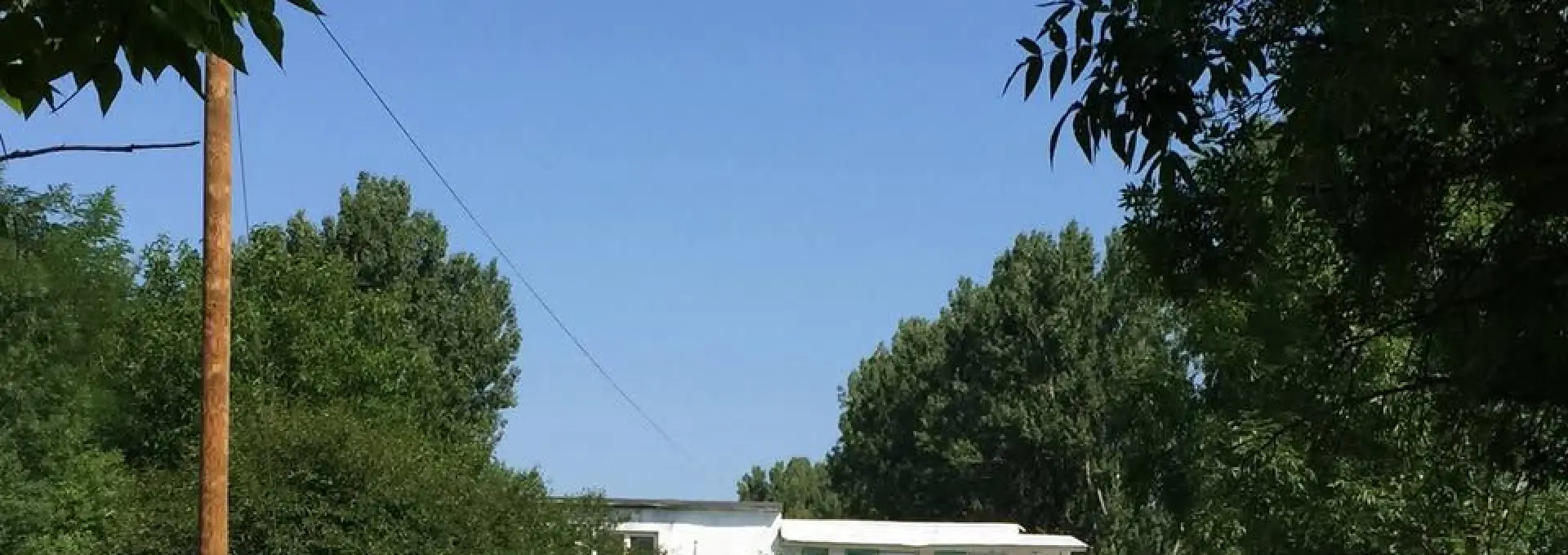 Foto Scandal la adăpostul Sărăcești din Slatina: câini eutanasiați și incinerați, acuzații grave la adresa administrației De Mezzo