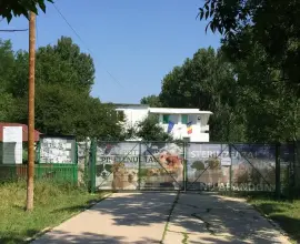 Foto Scandal la adăpostul Sărăcești din Slatina: câini eutanasiați și incinerați, acuzații grave la adresa administrației De Mezzo