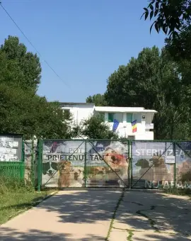 Foto Scandal la adăpostul Sărăcești din Slatina: câini eutanasiați și incinerați, acuzații grave la adresa administrației De Mezzo