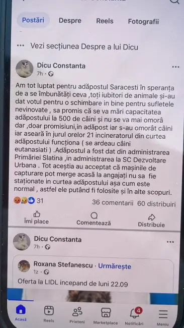 Foto Scandal la adăpostul Sărăcești din Slatina: câini eutanasiați și incinerați, acuzații grave la adresa administrației De Mezzo
