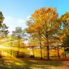 Foto Prognoza meteo: După câteva zile însorite, urmează două săptămâni cu temperaturi mai scăzute