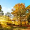 Foto Prognoza meteo: După câteva zile însorite, urmează două săptămâni cu temperaturi mai scăzute