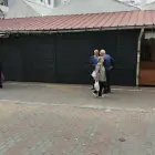 Foto Marius Oprescu, despre închiderea Pieţei Zahana: „Aceasta este Slatina strălucitoare în care trăim!”
