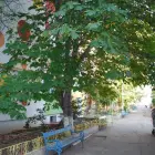 Foto Creșa de pe strada Zmeurei rămâne la dispoziția copiilor din Slatina, după acordul CJ Olt. Oprescu: „Ne onorăm angajamentul față de slătineni”