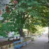 Foto Creșa de pe strada Zmeurei rămâne la dispoziția copiilor din Slatina, după acordul CJ Olt. Oprescu: „Ne onorăm angajamentul față de slătineni”