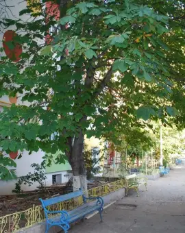 Foto Creșa de pe strada Zmeurei rămâne la dispoziția copiilor din Slatina, după acordul CJ Olt. Oprescu: „Ne onorăm angajamentul față de slătineni”