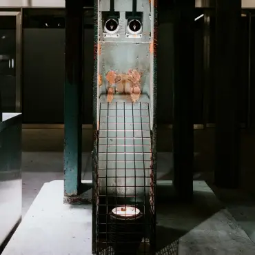 Foto De ce ai nevoie pentru montarea unui lift de bucătărie în casa ta?