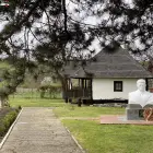 Foto Scornicești, orașul natal al lui Ceaușescu, devine atracție pentru turiști, familia pregătește deschiderea casei memorial