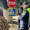Foto 340 de accidente produse în Olt, în primele nouă luni ale anului. Recomandările poliţiştilor rutieri
