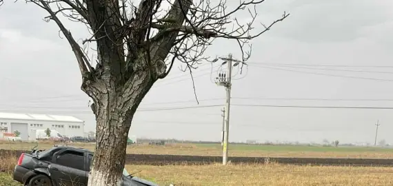 Foto Accident pe DN 54, la Comanca. Un şofer a intrat într-un pom de pe marginea drumului