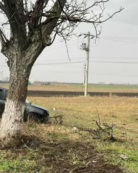 Foto Accident pe DN 54, la Comanca. Un şofer a intrat într-un pom de pe marginea drumului