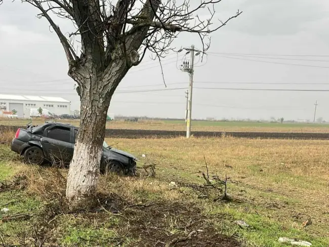 Foto Accident pe DN 54, la Comanca. Un şofer a intrat într-un pom de pe marginea drumului