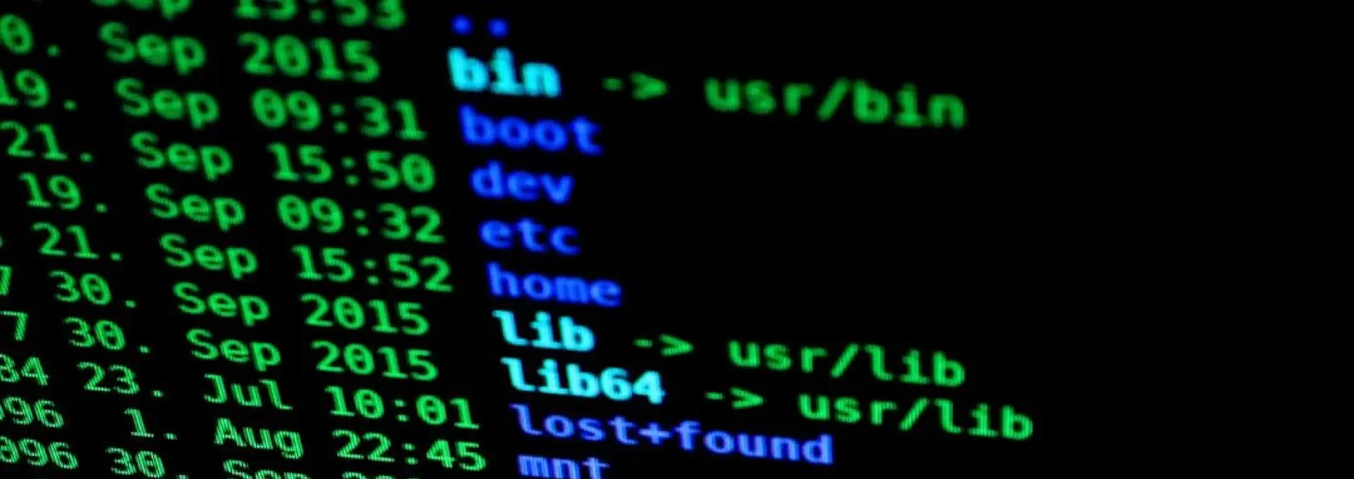 Foto Criminalitatea informatică, în creștere în Olt. Polițiștii avertizează: „Fiți vigilenți în mediul online”