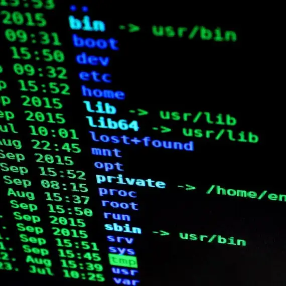 Foto Criminalitatea informatică, în creștere în Olt. Polițiștii avertizează: „Fiți vigilenți în mediul online”