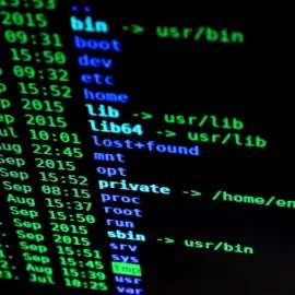 Foto Criminalitatea informatică, în creștere în Olt. Polițiștii avertizează: „Fiți vigilenți în mediul online”