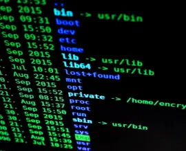 Foto Criminalitatea informatică, în creștere în Olt. Polițiștii avertizează: „Fiți vigilenți în mediul online”