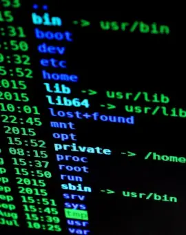 Foto Criminalitatea informatică, în creștere în Olt. Polițiștii avertizează: „Fiți vigilenți în mediul online”