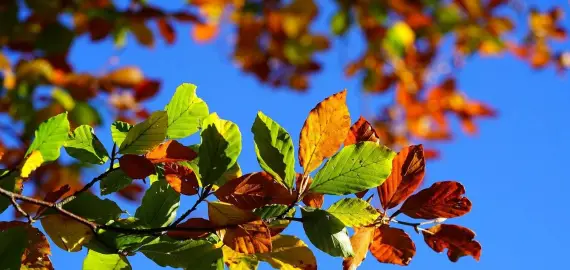 Foto Vremea în noiembrie. Doar prima săptămână din lună va avea temperaturi peste cele obişnuite