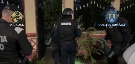 Foto Cu cât se vinde gramul de marijuana, în judeţul Olt: Bărbat, condamnare pentru trafic de droguri de risc, după o anchetă sub acoperire