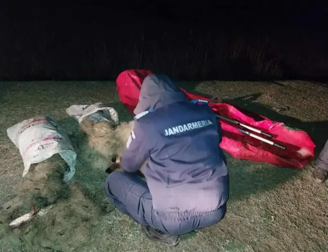 Foto Jandarmii au aplicat sute de amenzi și au confiscat zeci de unelte folosite la braconaj pe râul Olt, în primele zece luni ale anului