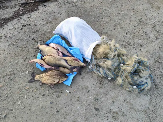 Foto Jandarmii au aplicat sute de amenzi și au confiscat zeci de unelte folosite la braconaj pe râul Olt, în primele zece luni ale anului