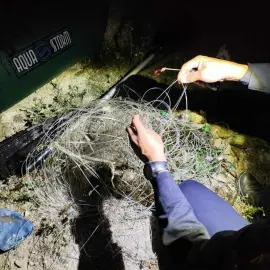 Foto Jandarmii au aplicat sute de amenzi și au confiscat zeci de unelte folosite la braconaj pe râul Olt, în primele zece luni ale anului