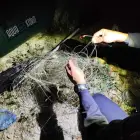 Foto Jandarmii au aplicat sute de amenzi și au confiscat zeci de unelte folosite la braconaj pe râul Olt, în primele zece luni ale anului