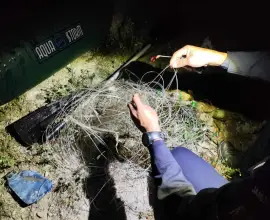 Foto Jandarmii au aplicat sute de amenzi și au confiscat zeci de unelte folosite la braconaj pe râul Olt, în primele zece luni ale anului