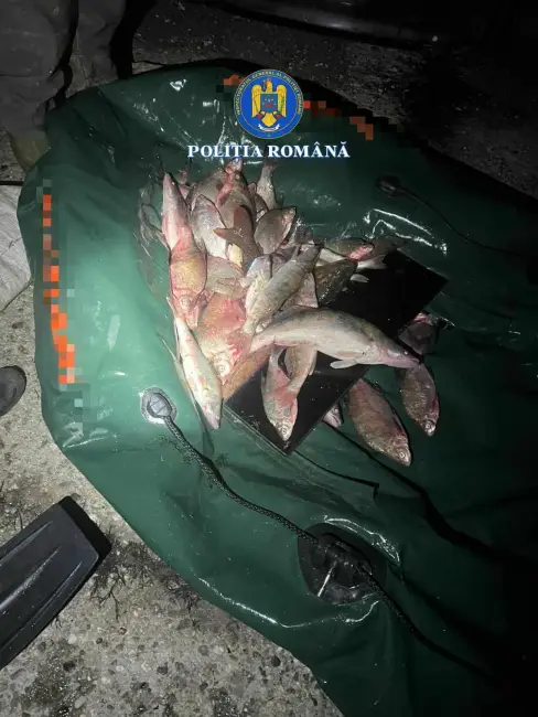 Foto Tânăr prins la braconaj piscicol pe râul Olt, în apropierea localităţii vâlcene Drăgoeşti