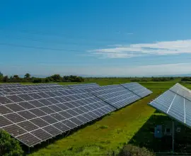 Foto Parc fotovoltaic de 174,5 MW la Dobrun, în judeţul Olt. Finanțare de 72 milioane euro