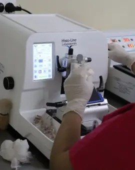 Foto Revoluție medicală la Slatina, unde laboratorul de anatomie patologică a intrat în era digitală pentru a salva vieți prin diagnostice rapide și precise