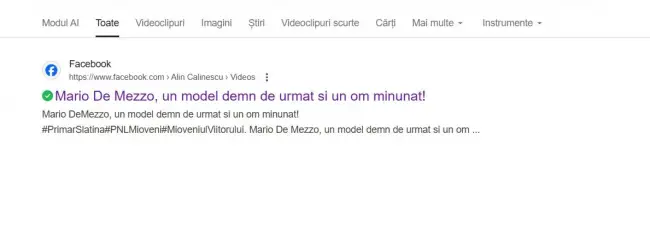 Foto Târgul de Crăciun din Slatina, dat de Mario De Mezzo unui coleg de partid. Taxe de 3.000 de euro pentru comercianţi și licitații ascunse