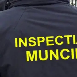 Foto Patru persoane depistate că munceau la negru, în luna noiembrie, de către ITM Olt