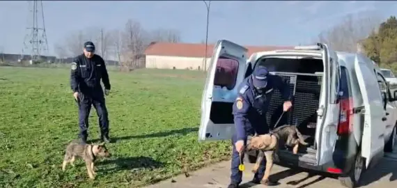 Foto VIDEO. Noi resurse canine la Jandarmeria Olt