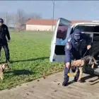 Foto VIDEO. Noi resurse canine la Jandarmeria Olt