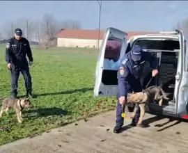 Foto VIDEO. Noi resurse canine la Jandarmeria Olt