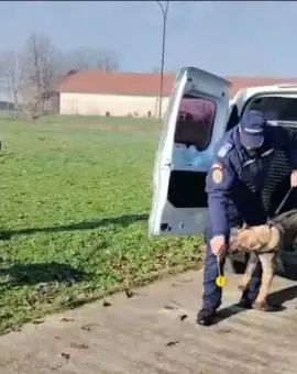 Foto VIDEO. Noi resurse canine la Jandarmeria Olt