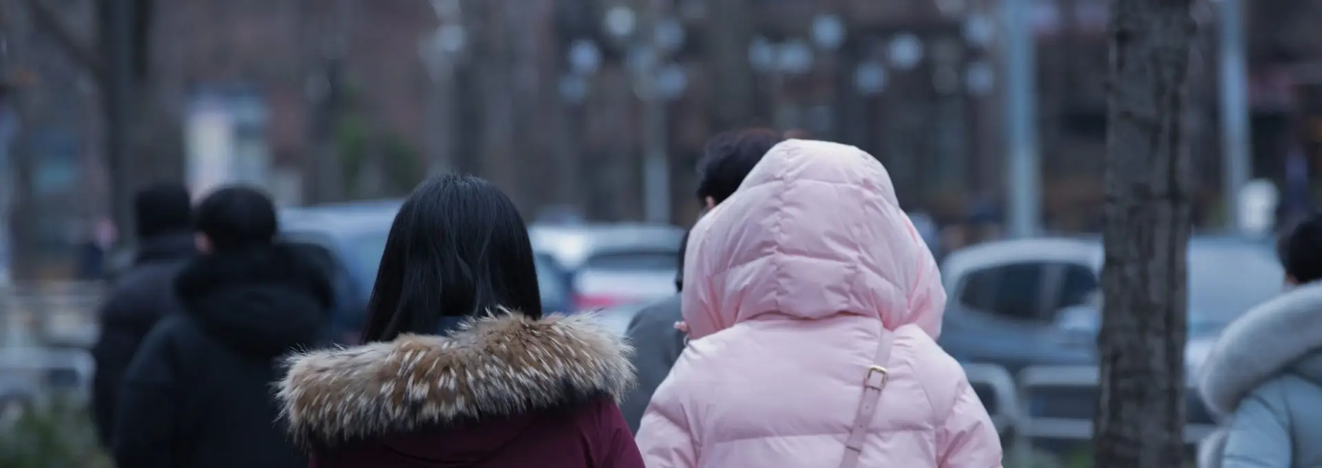 Foto Vremea se va răci sever înainte de Crăciun. ANM: Nu vom avea ninsori de Sărbători