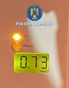 Foto Cu alcoolemie de 0.73 mg/l, un bărbat, din Giuvărăşti, a intrat cu maşina într-un stâlp de pe marginea drumului