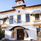 Foto Scandalul fondurilor europene pierdute de Primăria Slatina: „Nu se poate să concurezi singur și să ieși pe locul doi”