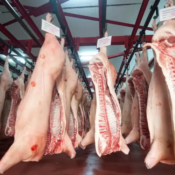 Foto Prețuri crescute artificial la carnea de porc, femieri revoltați. Ministrul Agriculturii: „Vine din Spania și pleacă de la abator carne românească”