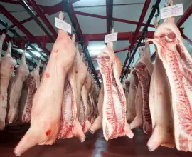 Foto Prețuri crescute artificial la carnea de porc, femieri revoltați. Ministrul Agriculturii: „Vine din Spania și pleacă de la abator carne românească”