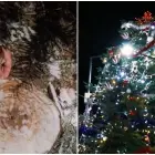 Foto Situație halucinantă: Bradul de Crăciun din piața centrală a fost tăiat de pe mormântul unui localnic