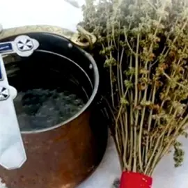 Foto Boboteaza, ziua când a fost botezat Iisus în apa Iordanului. De ce aruncă pretul crucea în apă