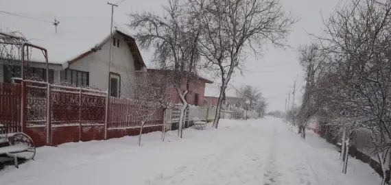 Foto Judeţul Olt, sub Cod Portocaliu de ninsori, polei şi vânt