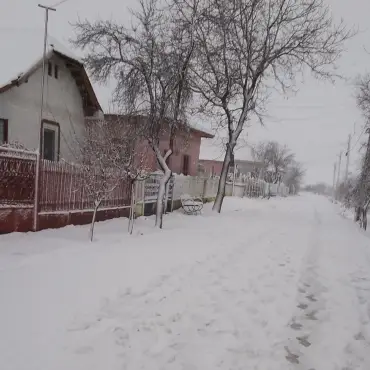 Foto Judeţul Olt, sub Cod Portocaliu de ninsori, polei şi vânt