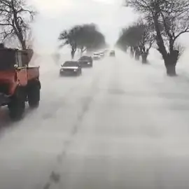 Foto VIDEO. Viscol la sol pe DN 54, între Corabia şi Caracal. Trafic îngreunat